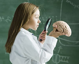 Girl looking at model of brain through a magnifying glass