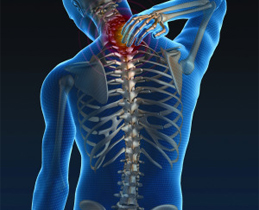Illustration of back of skeleton with hand reaching for reddened area of neck