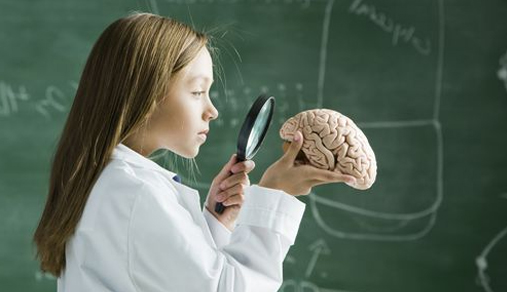 Girl looking at model of brain through a magnifying glass