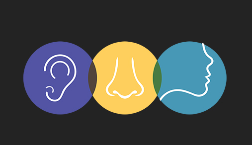 Ear, nose, and throat icons