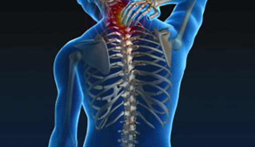 Illustration of back of skeleton with hand touching reddened area of neck