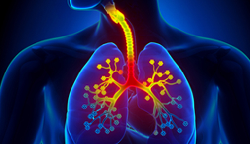Illustration of chest with illuminated lungs